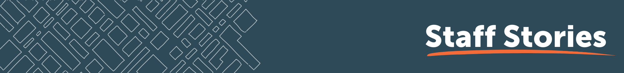 Banner with white text on blue background reading "staff stories"